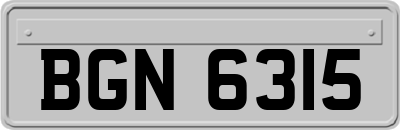 BGN6315