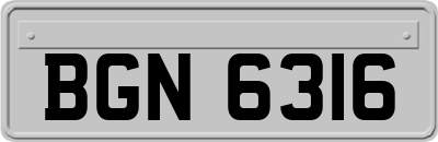 BGN6316