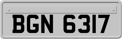 BGN6317
