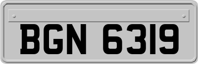 BGN6319