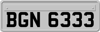 BGN6333