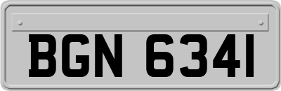 BGN6341