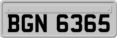 BGN6365