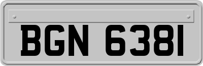 BGN6381