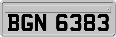 BGN6383