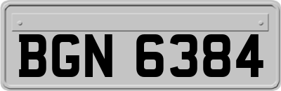BGN6384