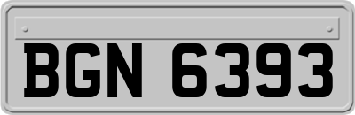 BGN6393