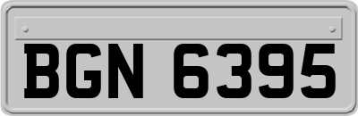 BGN6395