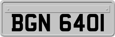 BGN6401