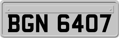 BGN6407