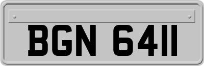 BGN6411