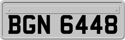 BGN6448
