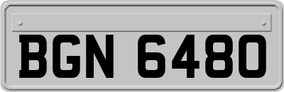 BGN6480