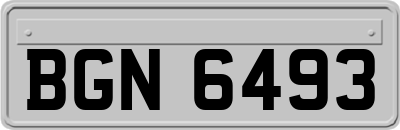BGN6493