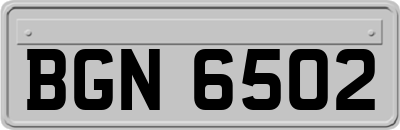 BGN6502