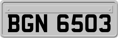 BGN6503