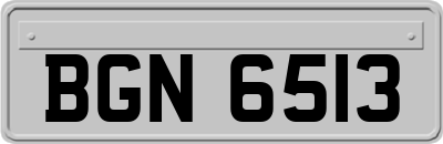 BGN6513