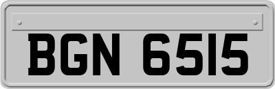 BGN6515