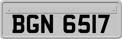 BGN6517