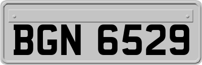 BGN6529