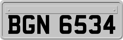 BGN6534