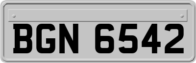 BGN6542