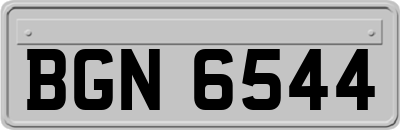 BGN6544