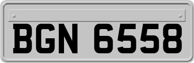 BGN6558