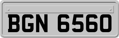 BGN6560