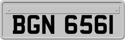 BGN6561