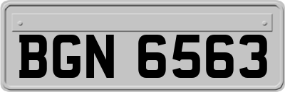 BGN6563