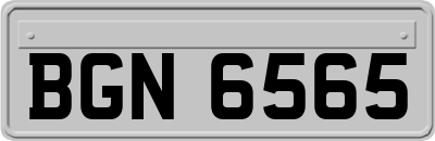 BGN6565