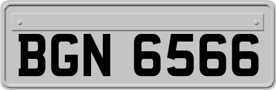 BGN6566