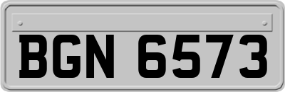 BGN6573