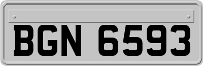 BGN6593