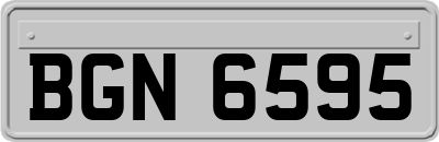 BGN6595