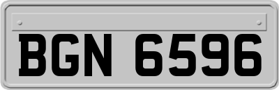BGN6596