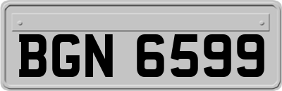 BGN6599