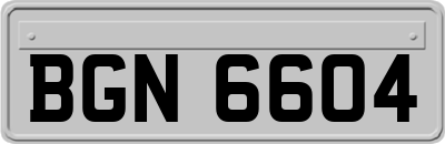 BGN6604