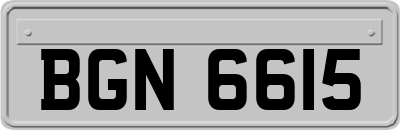 BGN6615
