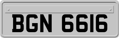 BGN6616