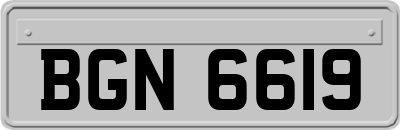 BGN6619