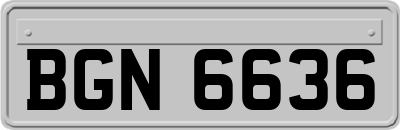BGN6636
