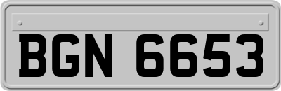BGN6653
