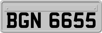BGN6655