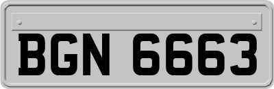BGN6663