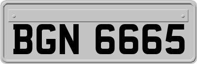 BGN6665