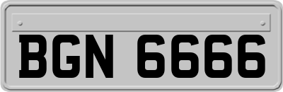 BGN6666
