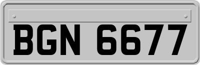 BGN6677