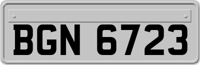 BGN6723